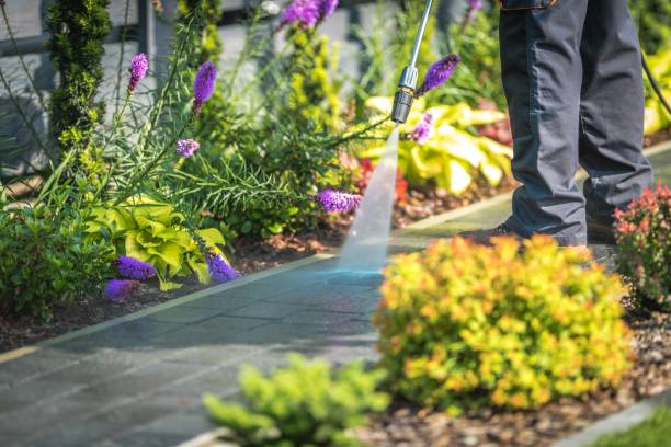 Best Sidewalk and Walkway Pressure Cleaning in Fosston, MN