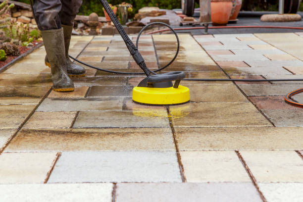 Best Roof Cleaning and Mildew Removal in Fosston, MN